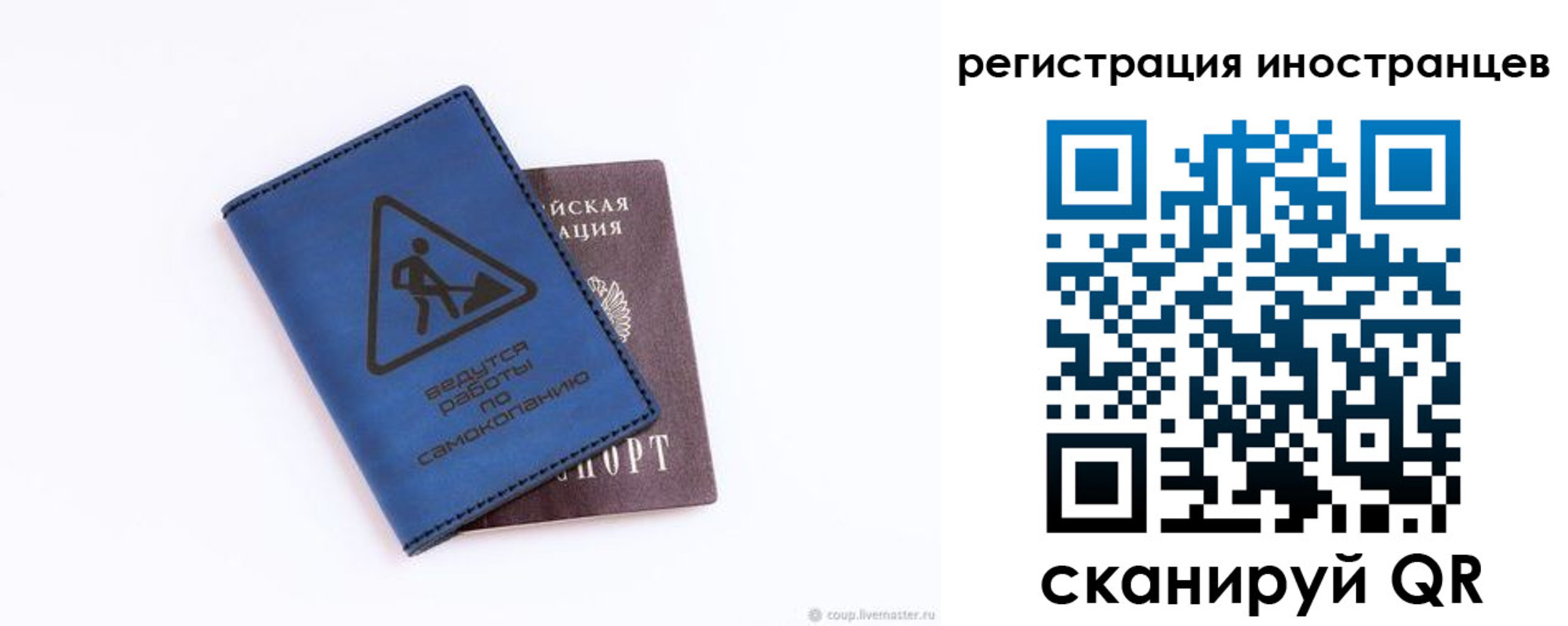 где прописаться в Коле